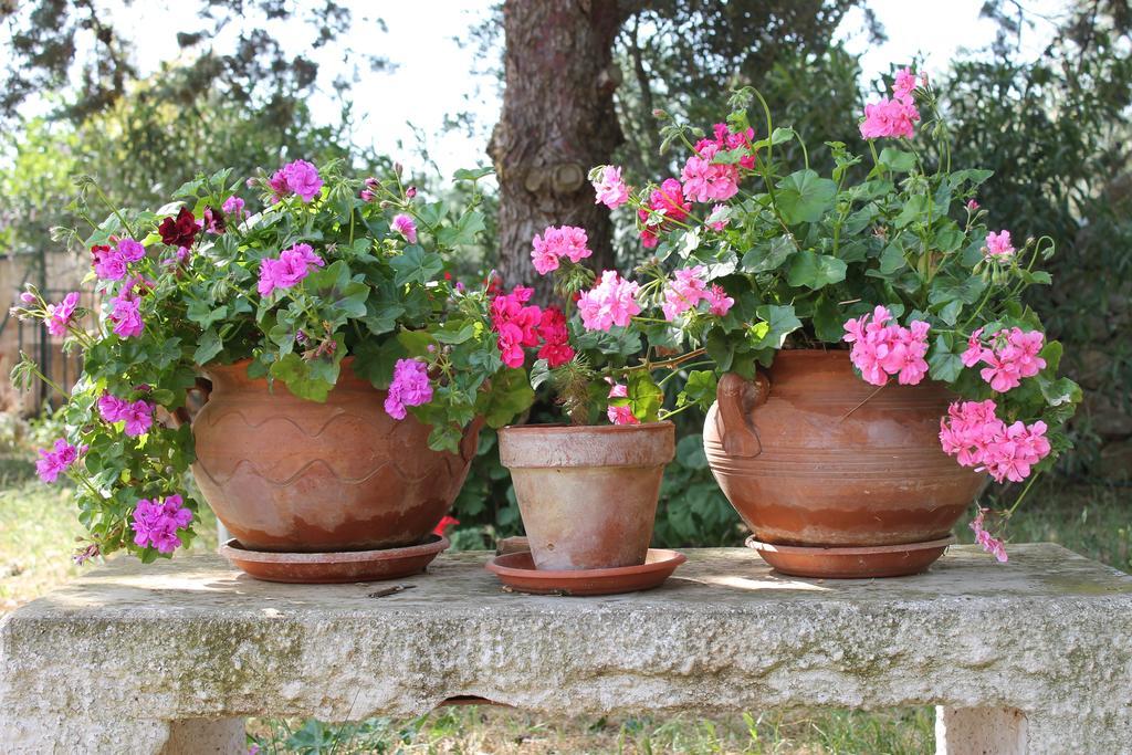 Masseria Gianecchia Cisternino Exterior foto