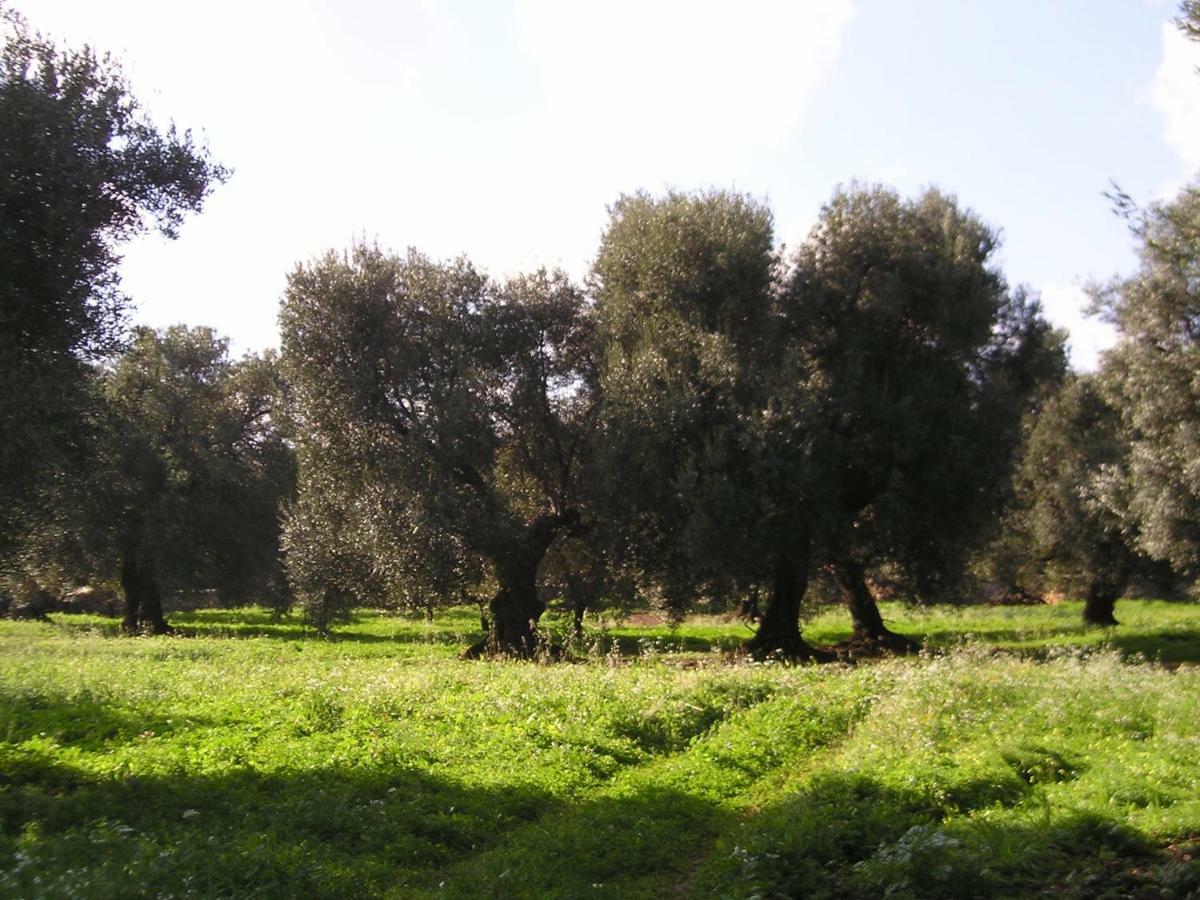 Masseria Gianecchia Cisternino Exterior foto